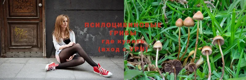 Галлюциногенные грибы Magic Shrooms  купить   Бавлы 